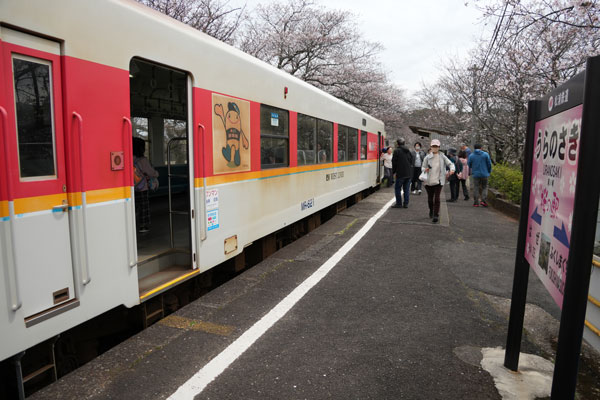 松浦鉄道 MR-600 浦ノ崎駅 桜