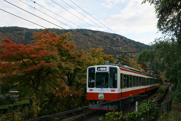 箱根登山 1000系 紅葉 ヘッドマーク