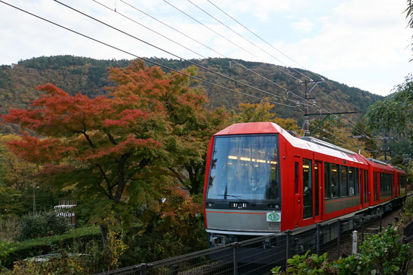 箱根登山 3000形 紅葉 ヘッドマーク